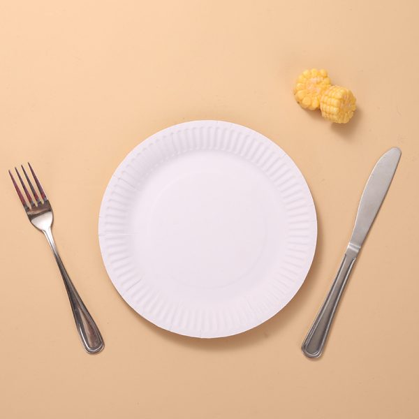 LOMMIE Paper Plates--Quick and Easy Cleanup - Image 2